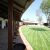 witpoort farm and stables 4